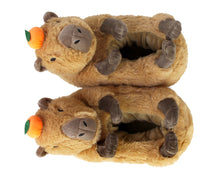 Load image into Gallery viewer, Pair of plush capybara slippers top view
